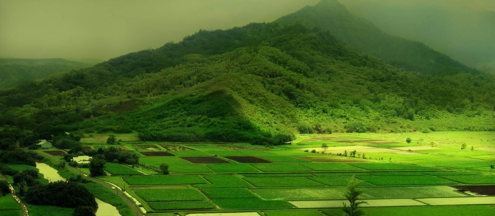 Golden Triangle With Kerala Tour