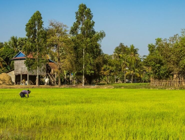 Rural tourism in India village life experience with traditional houses and local culture