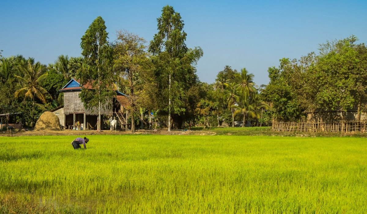 Rural tourism in India village life experience with traditional houses and local culture