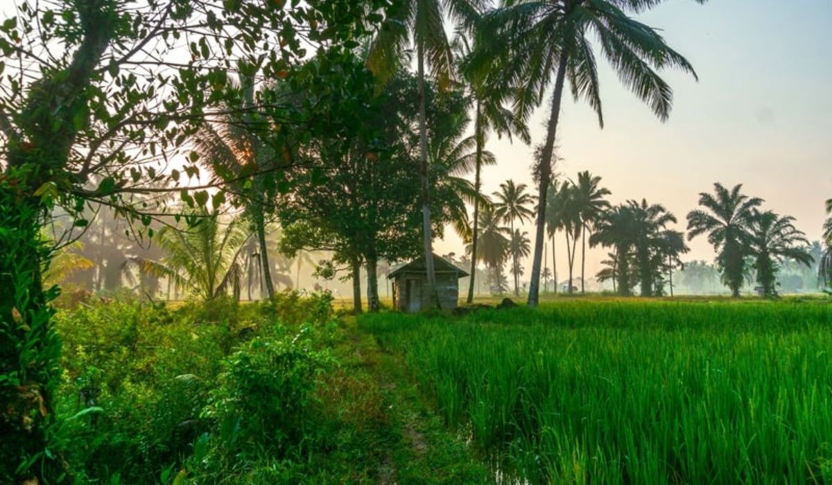 Rural Tourism in India: Complete Guide to Village Travel & Culture